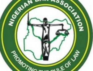 Missing General: NBA Cautions Military, as Heavily Pregnant Noro is Incarcerated