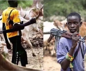 Fulani Militias Ambushed Two Natives From Bokkos LGA of Plateau State