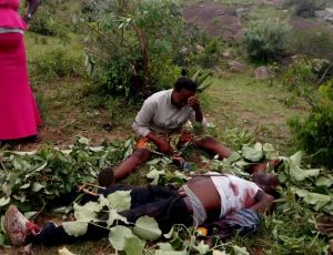 Fulani Militia killed a member in Rasat Village of Plateau State.