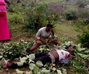 Fulani Militia killed a member in Rasat Village of Plateau State.