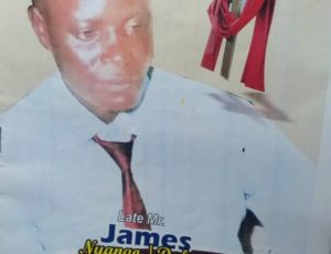 Plateau IDP knocked down to dead.