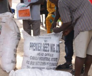 Central Nigeria: Displaced villagers get hybrid seeds, cash support to resume farming
