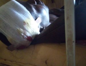 Plateau Natives Visited with Twin Attacks in Riyom