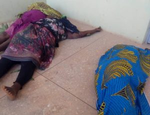 ANOTHER TRAGEDY IN PLATEAU AS FULANI MILITIAS KILLED 8