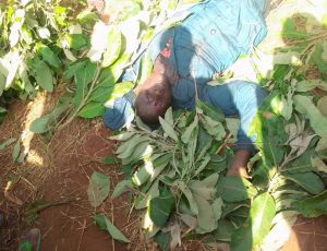 BREAKING NEWS: UPDATE ON PLATEAU ATTACKS ON SUNDAY