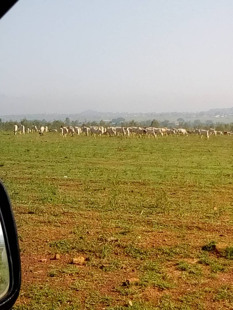 You are currently viewing WATCH OUT FOR POTENTIAL BREACH OF PEACE AND ORDER IN BISICHI AND ENVIRONS.