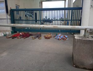 MARMOT CROWD STORMS PLATEAU GOVERNMENT FACILITIES WITH CORPSES OF NATIVE CHRISTIAN IN JOS