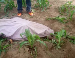 ANOTHER TERROR DESPITE EARLY WARNING MESSAGE