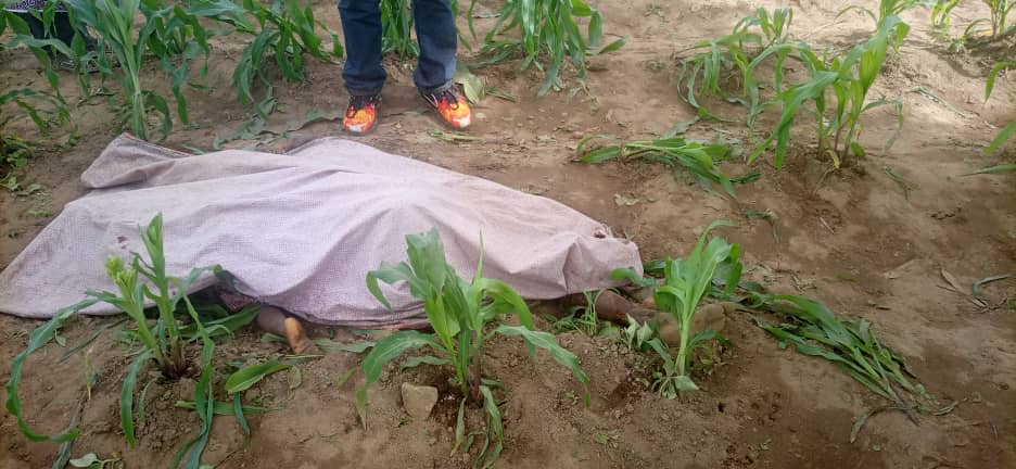 You are currently viewing ANOTHER TERROR DESPITE EARLY WARNING MESSAGE