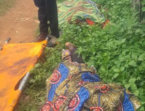 BEROM YOUTHS MOULDER ASSOCIATION PRESS STATEMENT ON BINDI VILLAGE MASSACRE AND CONSPIRACY OF SILENCE