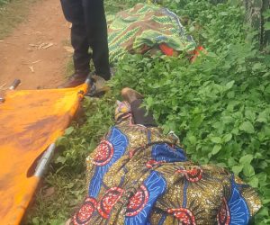 BEROM YOUTHS MOULDER ASSOCIATION PRESS STATEMENT ON BINDI VILLAGE MASSACRE AND CONSPIRACY OF SILENCE